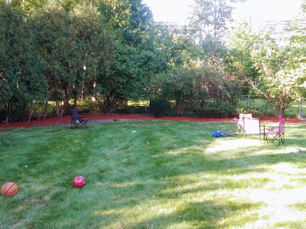 After fence line cleared,and mulch installed